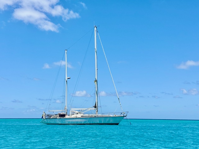 Accueil - English 8 red line